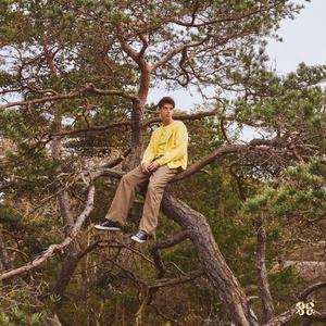 中国一级特黄真人毛片免费视频
